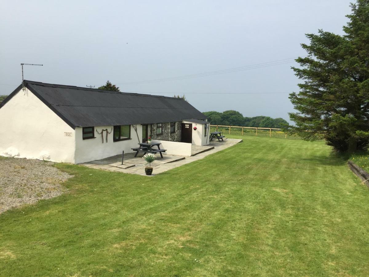 Byre Cottages & Log Cabin Кардиган Екстериор снимка